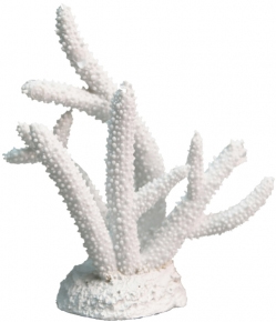 NEW ** Aqua One White Coral Staghorn (14.5x4.7x15cm) Aquarium Decor