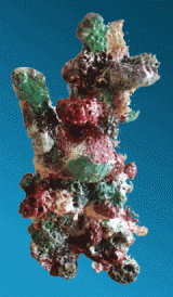 Aqua One Coral Background Tower (23cm x17cm x43cm) Aquarium Decor